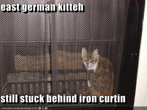 east german kitteh still stuck behind iron curtin